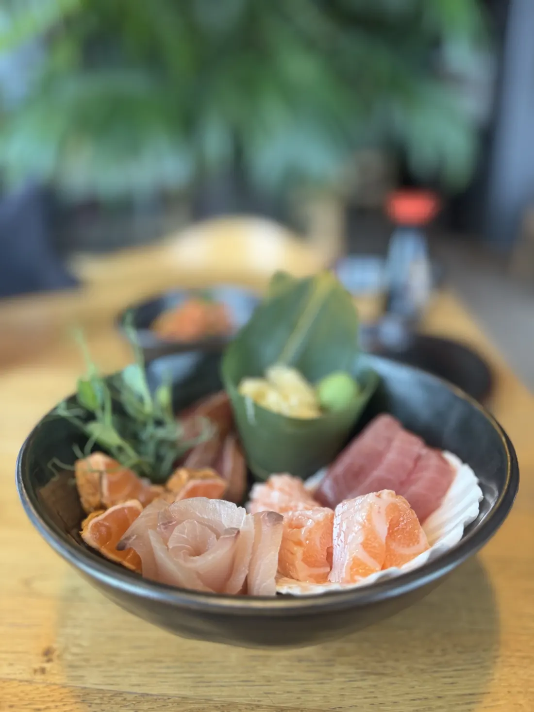 Sashimi z łososia, tuńczyka i białej ryby z imbirem i wasabi – King Fu Fusion, sushi w Bydgoszczy